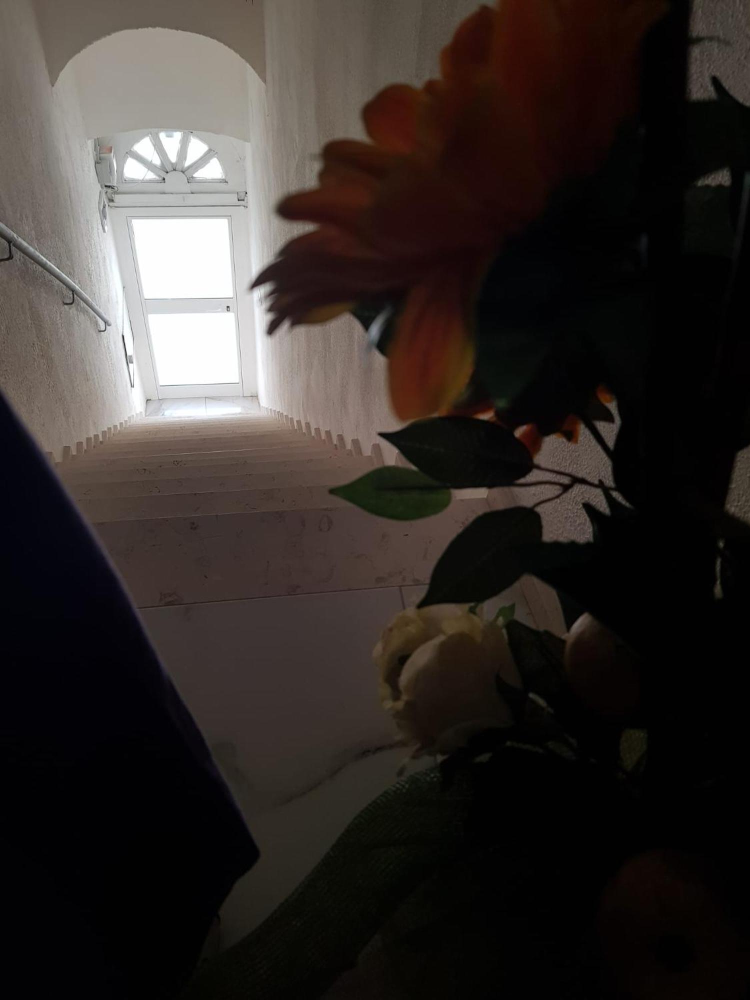 Di Fronzo Guest House T Triggiano Kültér fotó